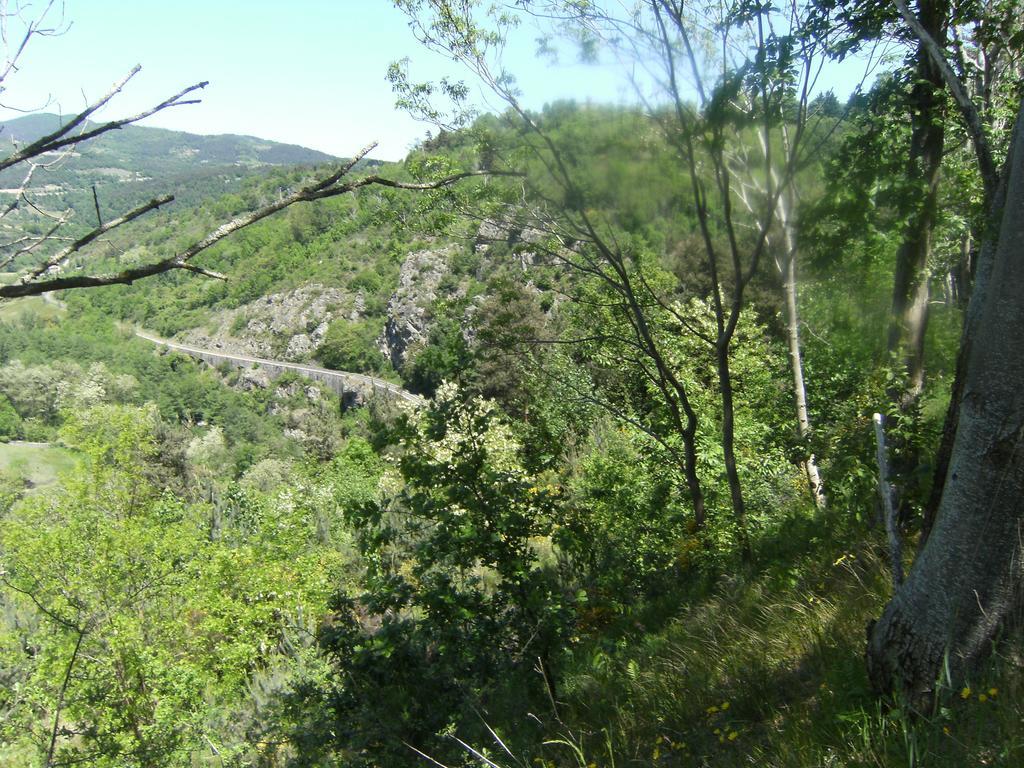 Les Roches Hotel Le Crestet Екстериор снимка